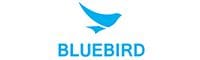 BLUEBIRD