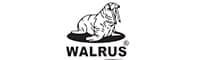 Walrus