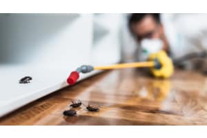 Jenis Peralatan Pengendalian Hama