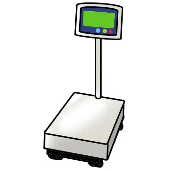 Timbangan Platform Digital