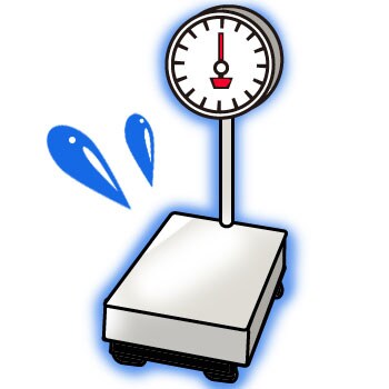 Timbangan Platform Analog/Manual