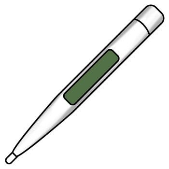 Termometer Elektronik