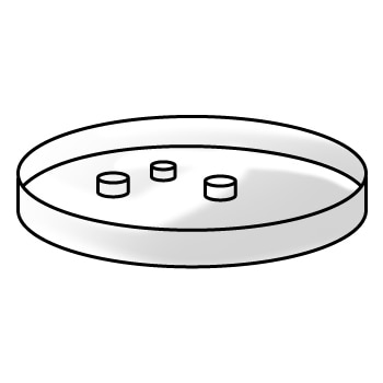 Perangkat Test Mikroba